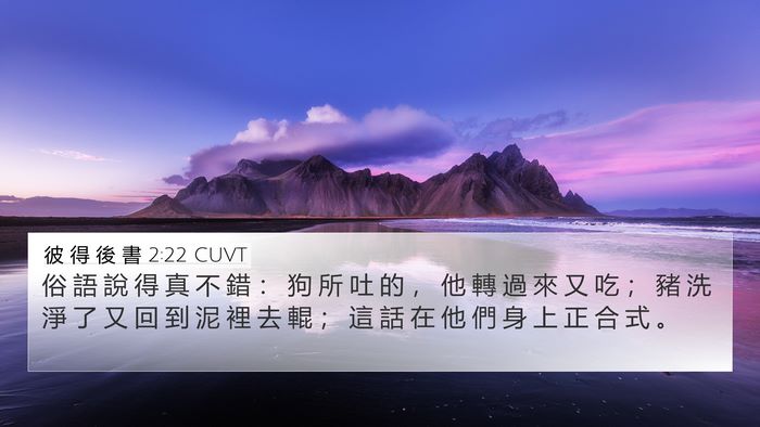 彼 得 後 書 2:22 CUVT Bible Verse Image