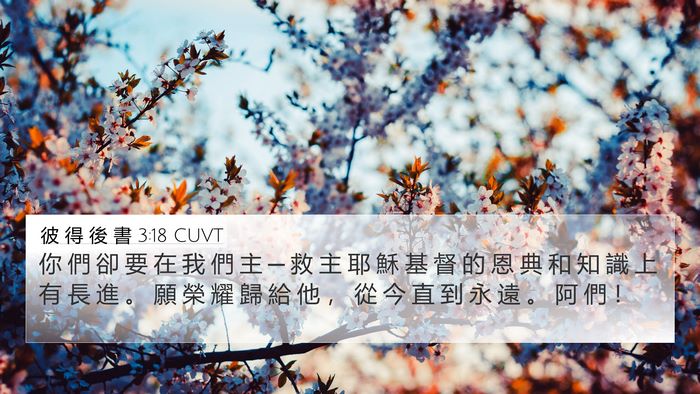 彼 得 後 書 3:18 CUVT Bible Verse Image
