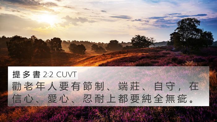提 多 書 2:2 CUVT 4K Wallpaper - 勸 老 年 人 要 有 節 制 、 端 莊 、 - 4K Wallpaper Bible Verse
