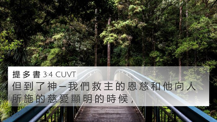 提 多 書 3:4 CUVT Bible Verse Image
