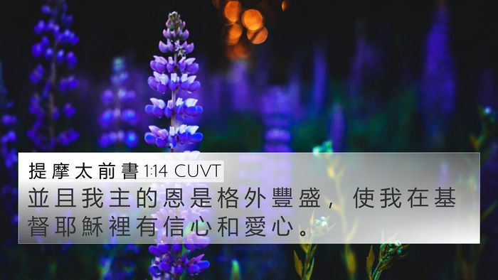 提 摩 太 前 書 1:14 CUVT Bible Verse Image
