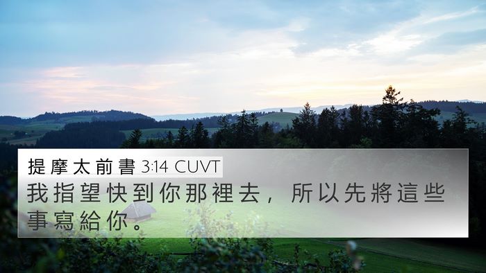 提 摩 太 前 書 3:14 CUVT Bible Verse Image