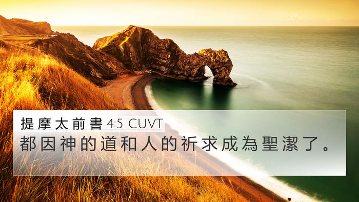 提 摩 太 前 書 4:5 CUVT 4K Wallpaper - 都 因 神 的 道 和 人 的 祈 求 成 為 - 4K Wallpaper Bible Verse
