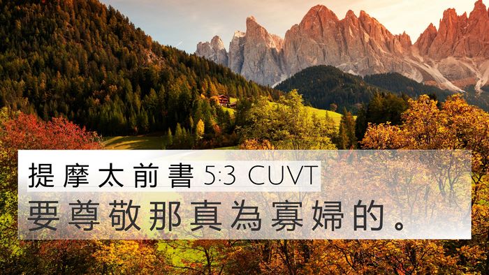 提 摩 太 前 書 5:3 CUVT Bible Verse Image