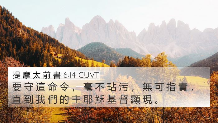 提 摩 太 前 書 6:14 CUVT Bible Verse Image