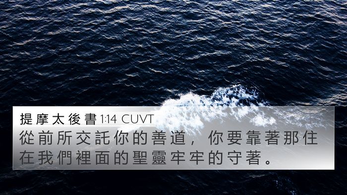 提 摩 太 後 書 1:14 CUVT Bible Verse Image