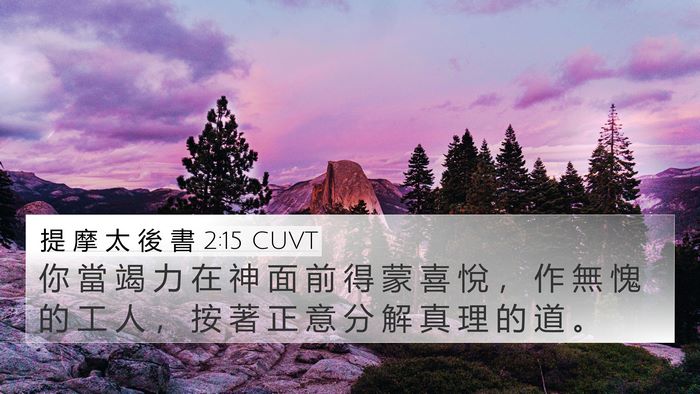 提 摩 太 後 書 2:15 CUVT Bible Verse Image