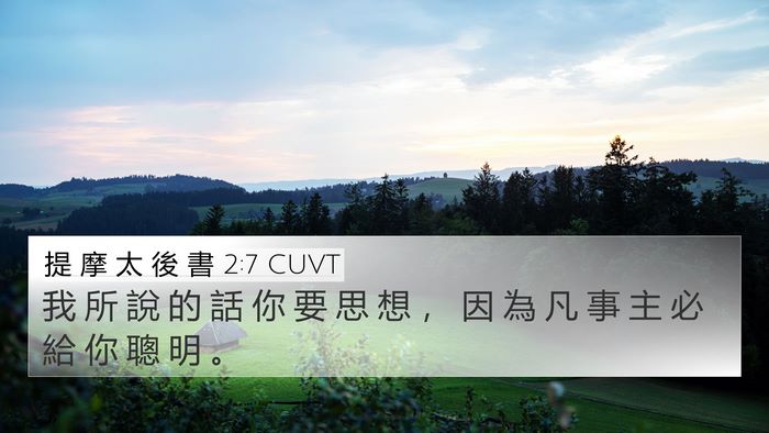 提 摩 太 後 書 2:7 CUVT Bible Verse Image