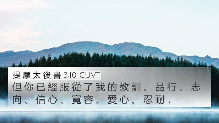 提 摩 太 後 書 3:10 CUVT Bible Verse Image