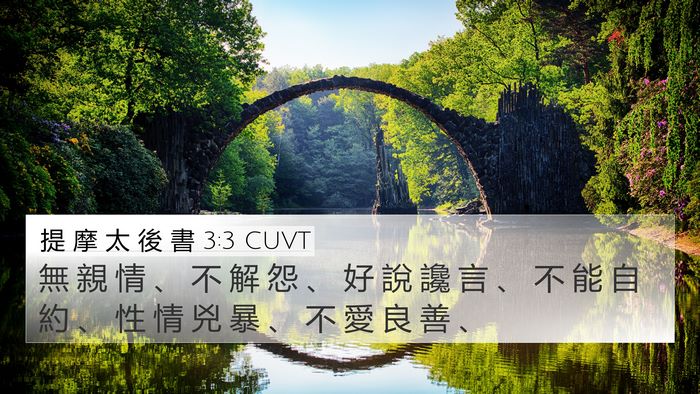 提 摩 太 後 書 3:3 CUVT Bible Verse Image
