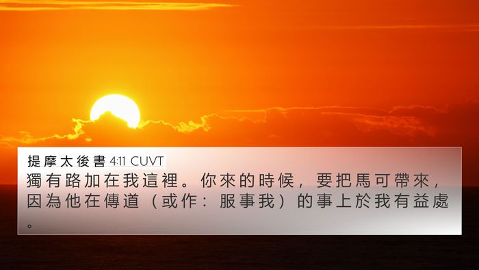 提 摩 太 後 書 4:11 CUVT Bible Verse Image