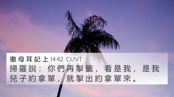 撒 母 耳 記 上 14:42 CUVT 4K Wallpaper - 掃 羅 說 ： 你 們 再 掣 籤 ， 看 是 - 4K Wallpaper Bible Verse