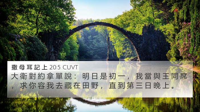 撒 母 耳 記 上 20:5 CUVT Bible Verse Image