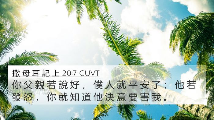 撒 母 耳 記 上 20:7 CUVT 4K Wallpaper - 你 父 親 若 說 好 ， 僕 人 就 平 安 - 4K Wallpaper Bible Verse