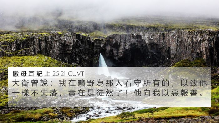 撒 母 耳 記 上 25:21 CUVT Bible Verse Image