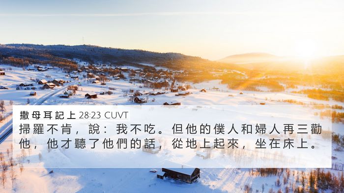 撒 母 耳 記 上 28:23 CUVT Bible Verse Image