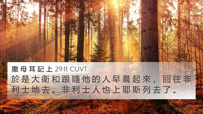 撒 母 耳 記 上 29:11 CUVT 4K Wallpaper - 於 是 大 衛 和 跟 隨 他 的 人 早 晨 - 4K Wallpaper Bible Verse