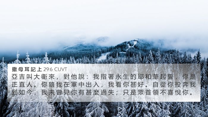 撒 母 耳 記 上 29:6 CUVT Bible Verse Image