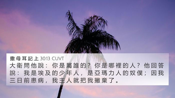撒 母 耳 記 上 30:13 CUVT 4K Wallpaper - 大 衛 問 他 說 ： 你 是 屬 誰 的 ？ - 4K Wallpaper Bible Verse