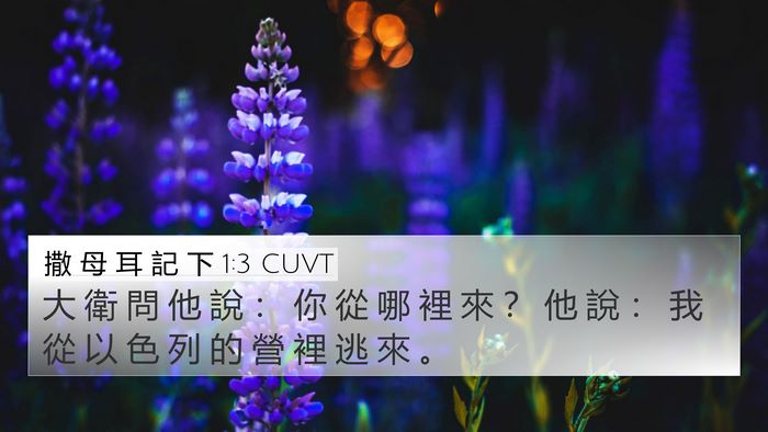 撒 母 耳 記 下 1:3 CUVT Bible Verse Image