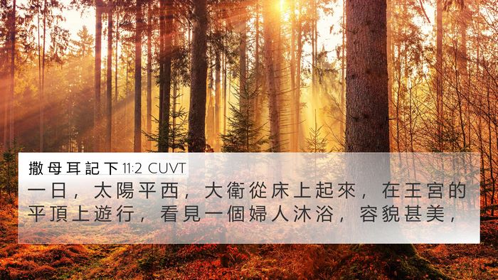 撒 母 耳 記 下 11:2 CUVT Bible Verse Image