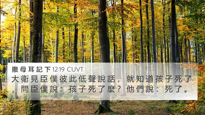 撒 母 耳 記 下 12:19 CUVT Bible Verse Image