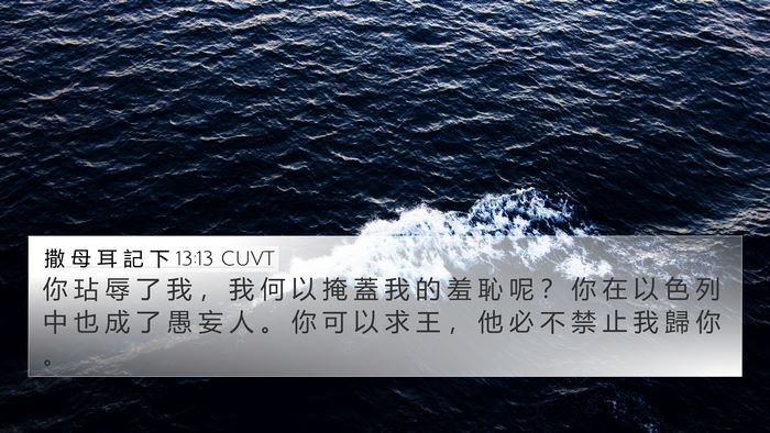 撒 母 耳 記 下 13:13 CUVT Bible Verse Image