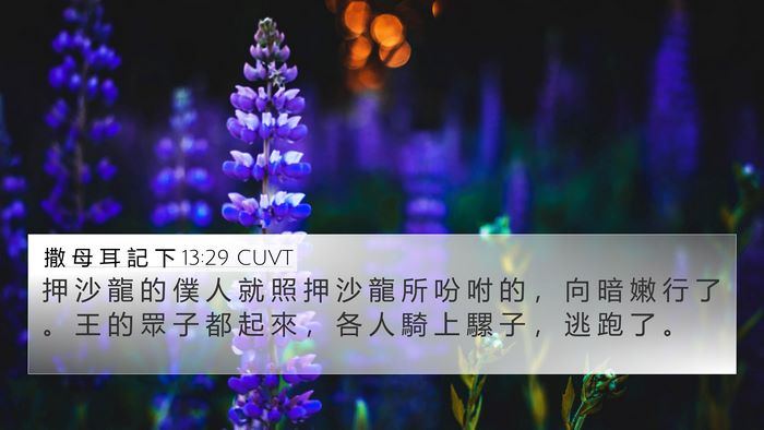 撒 母 耳 記 下 13:29 CUVT Bible Verse Image