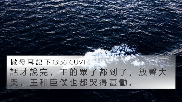 撒 母 耳 記 下 13:36 CUVT Bible Verse Image