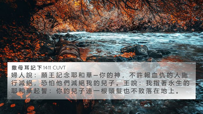 撒 母 耳 記 下 14:11 CUVT Bible Verse Image