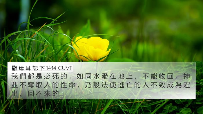 撒 母 耳 記 下 14:14 CUVT Bible Verse Image