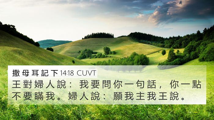 撒 母 耳 記 下 14:18 CUVT 4K Wallpaper - 王 對 婦 人 說 ： 我 要 問 你 一 句 - 4K Wallpaper Bible Verse