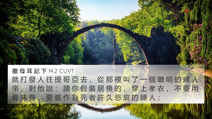 撒 母 耳 記 下 14:2 CUVT Bible Verse Image