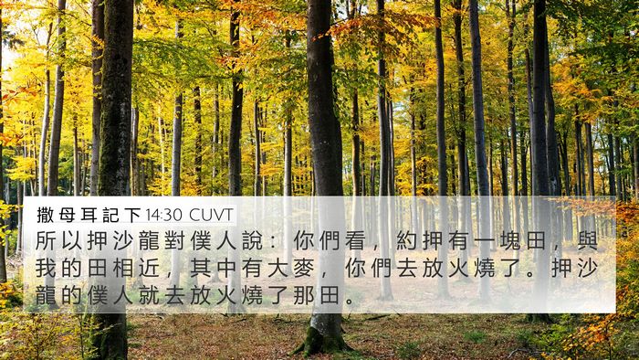 撒 母 耳 記 下 14:30 CUVT Bible Verse Image