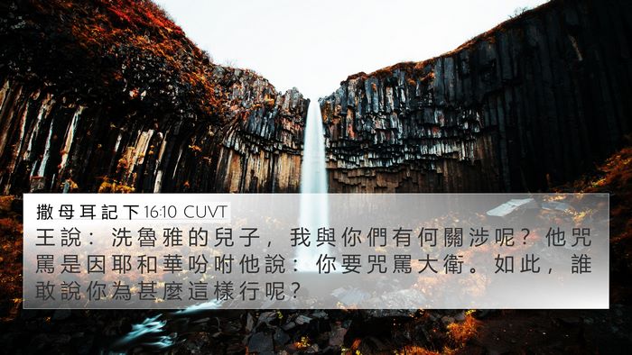 撒 母 耳 記 下 16:10 CUVT Bible Verse Image