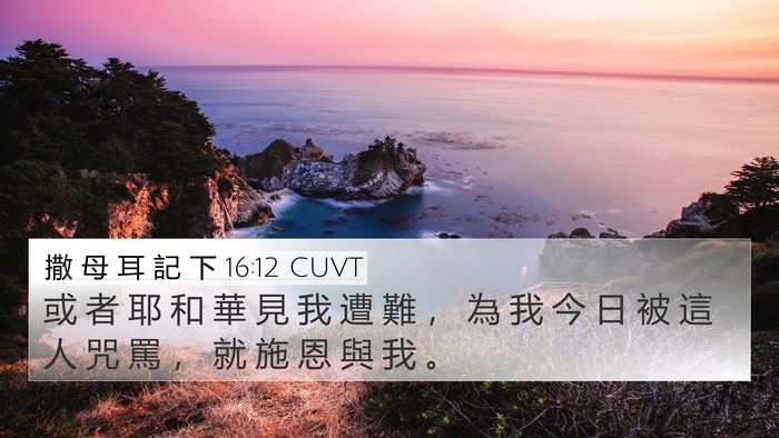 撒 母 耳 記 下 16:12 CUVT Bible Verse Image