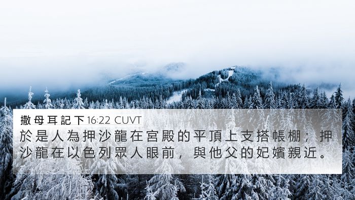 撒 母 耳 記 下 16:22 CUVT Bible Verse Image
