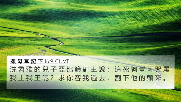 撒 母 耳 記 下 16:9 CUVT Bible Verse Image