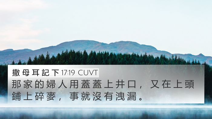 撒 母 耳 記 下 17:19 CUVT 4K Wallpaper - 那 家 的 婦 人 用 蓋 蓋 上 井 口 ， - 4K Wallpaper Bible Verse
