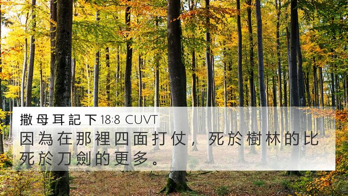 撒 母 耳 記 下 18:8 CUVT 4K Wallpaper - 因 為 在 那 裡 四 面 打 仗 ， 死 於 - 4K Wallpaper Bible Verse