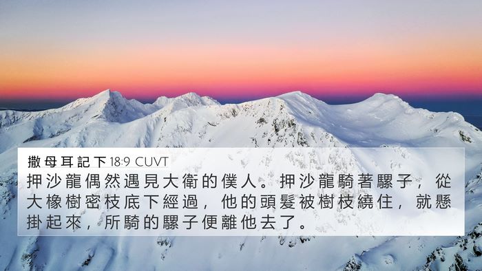 撒 母 耳 記 下 18:9 CUVT Bible Verse Image