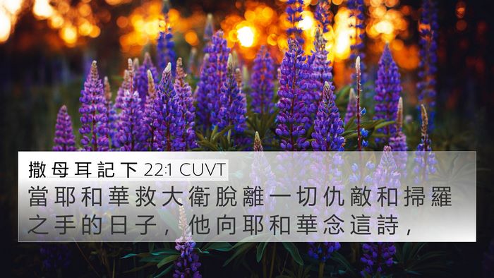 撒 母 耳 記 下 22:1 CUVT Bible Verse Image
