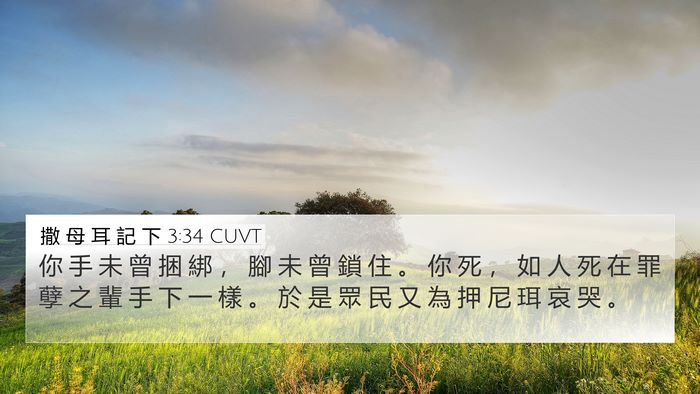 撒 母 耳 記 下 3:34 CUVT Bible Verse Image