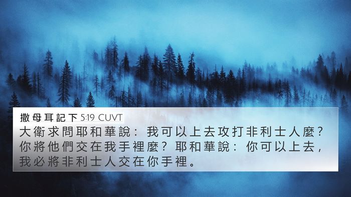 撒 母 耳 記 下 5:19 CUVT Bible Verse Image