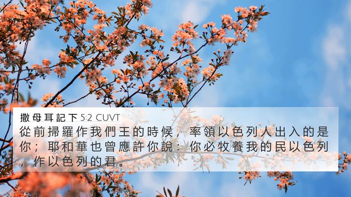 撒 母 耳 記 下 5:2 CUVT Bible Verse Image