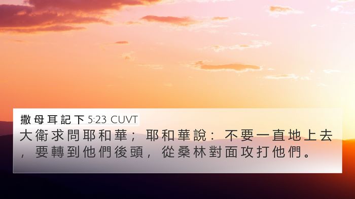 撒 母 耳 記 下 5:23 CUVT Bible Verse Image