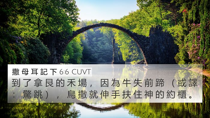 撒 母 耳 記 下 6:6 CUVT Bible Verse Image