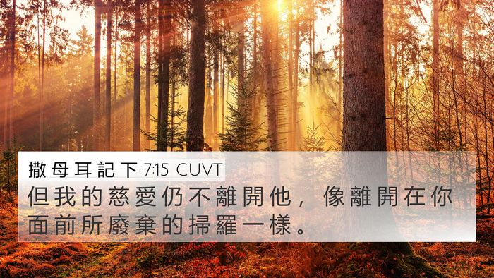 撒 母 耳 記 下 7:15 CUVT 4K Wallpaper - 但 我 的 慈 愛 仍 不 離 開 他 ， 像 - 4K Wallpaper Bible Verse