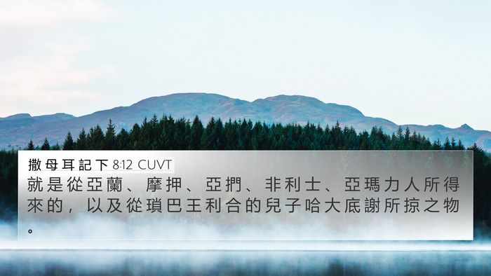 撒 母 耳 記 下 8:12 CUVT Bible Verse Image