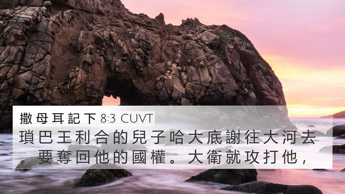 撒 母 耳 記 下 8:3 CUVT Bible Verse Image